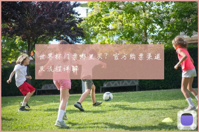 世界杯门票哪里买?官方购票渠道及流程详解